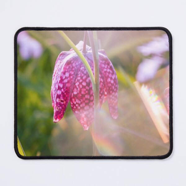 Item preview, Looking - A View  designed and sold by Carl Gaynor.