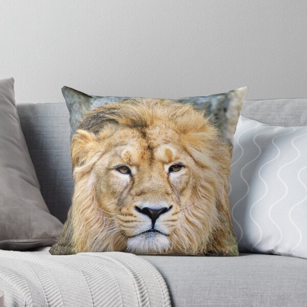Aperçu de l'œuvre Lion / Panthera leo créée et vendue par cs-cookie.