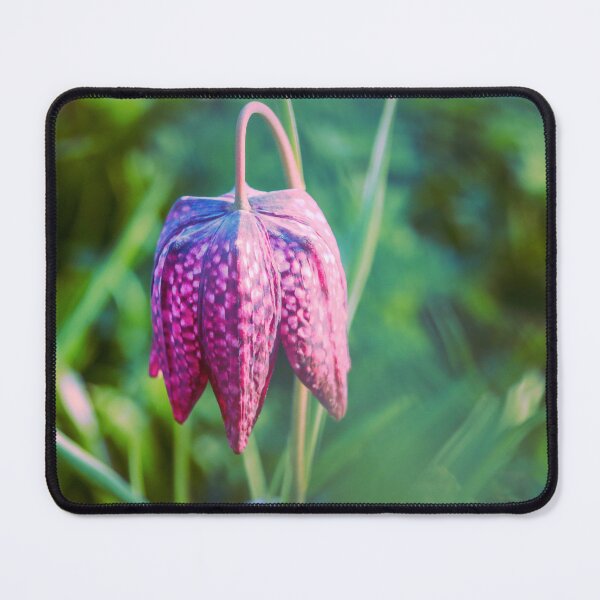 Item preview, Looking - A View designed and sold by Carl Gaynor.
