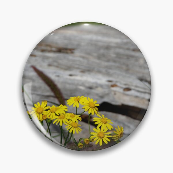 Artikelvorschau, Wildblumen auf rustikalem Treibholz entworfen und verkauft von Susan Segal.