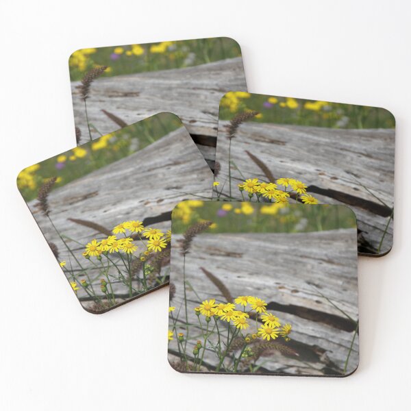 Item preview, Wildflowers on Rustic Driftwood designed and sold by Susan Segal.