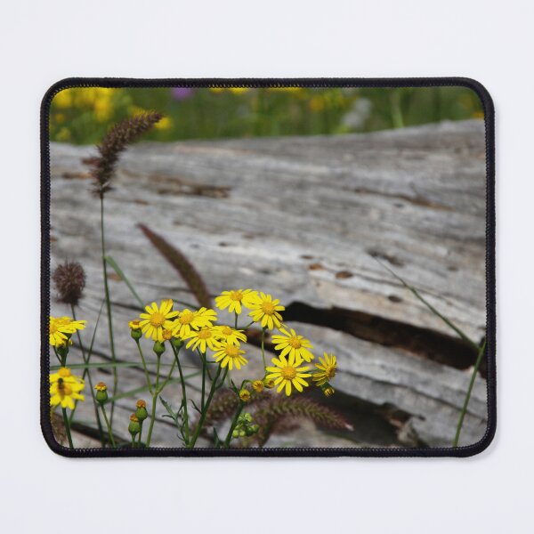 Item preview, Wildflowers on Rustic Driftwood designed and sold by Susan Segal.