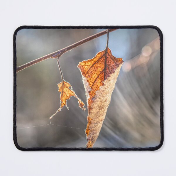 Item preview, An old leaf 3 designed and sold by Veikko  Suikkanen.