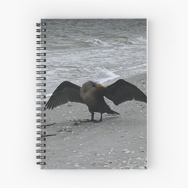 Item preview, Cormorant drying himself on the beach in Florida designed and sold by timg58.