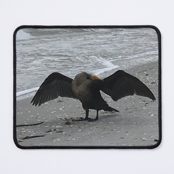 Item preview, Cormorant drying himself on the beach in Florida designed and sold by timg58.