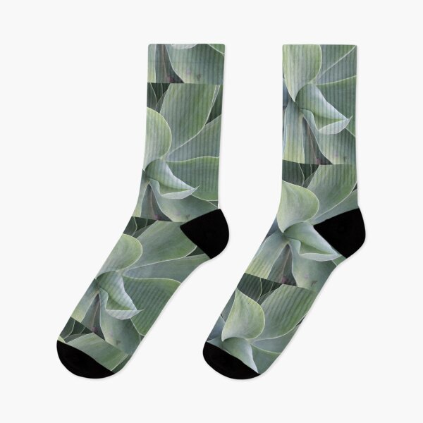 Item preview, Summertime Succulent Bloom  designed and sold by AshTreeCrtvCo.
