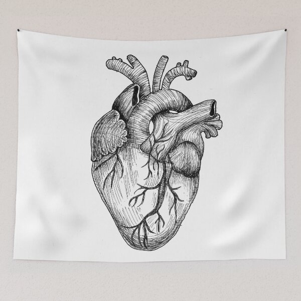 Item preview, Anatomical Heart drawing designed and sold by rsellers.