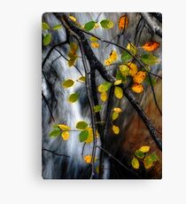 Juxtaposition Canvas Print