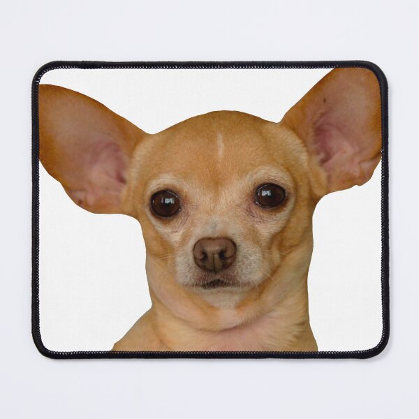 Item preview, Diane Lopez designed and sold by Gracie-Sings.