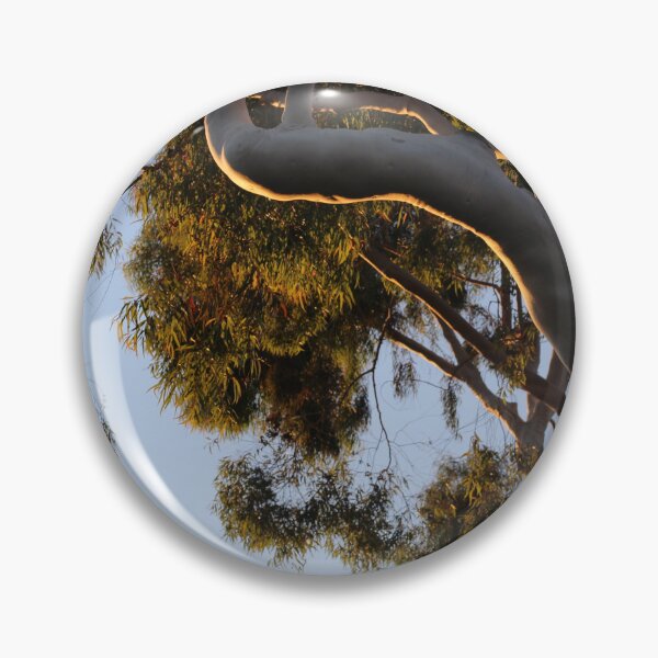 Item preview, Sunset on Paperbark Tree branch designed and sold by AshTreeCrtvCo.