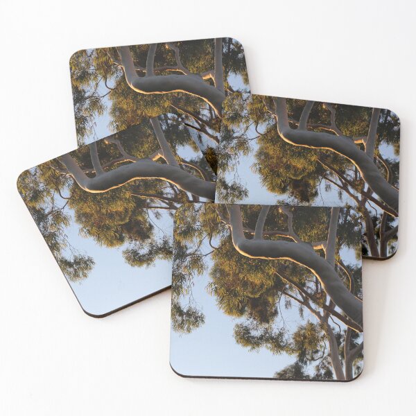 Item preview, Sunset on Paperbark Tree branch designed and sold by AshTreeCrtvCo.