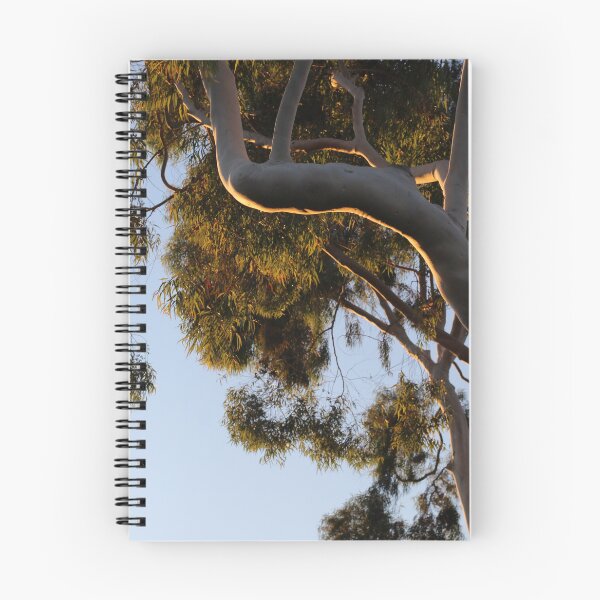 Item preview, Sunset on Paperbark Tree branch designed and sold by AshTreeCrtvCo.