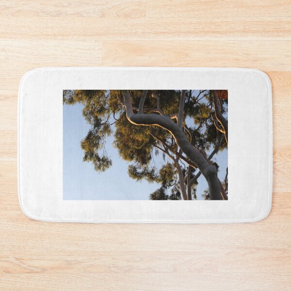 Item preview, Sunset on Paperbark Tree branch designed and sold by AshTreeCrtvCo.