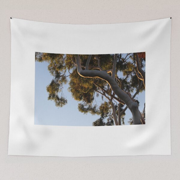 Item preview, Sunset on Paperbark Tree branch designed and sold by AshTreeCrtvCo.