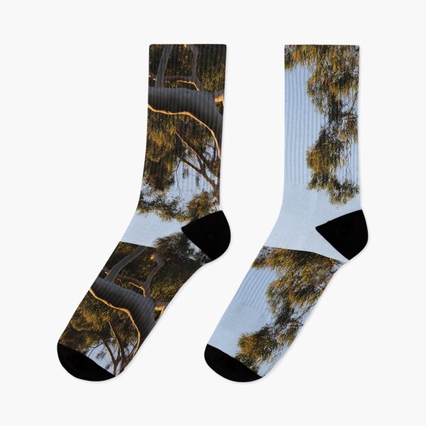 Item preview, Sunset on Paperbark Tree branch designed and sold by AshTreeCrtvCo.