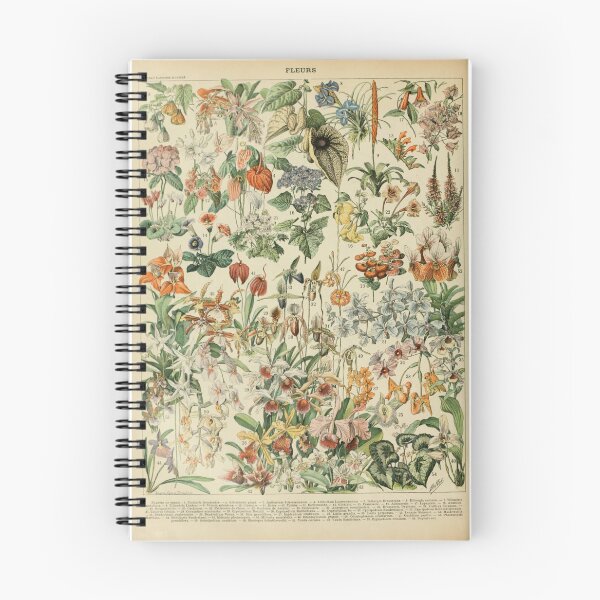 Item preview, Fleurs D - Adolphe Millot designed and sold by starrylite.