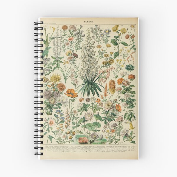 Artikelvorschau, Fleurs B - Adolphe Millot entworfen und verkauft von starrylite.