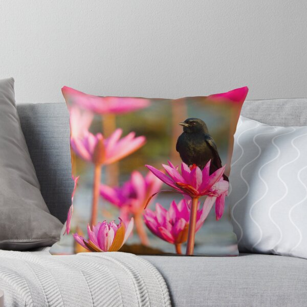 Item preview, Black Drongo - Thailand designed and sold by Rob Drummond.