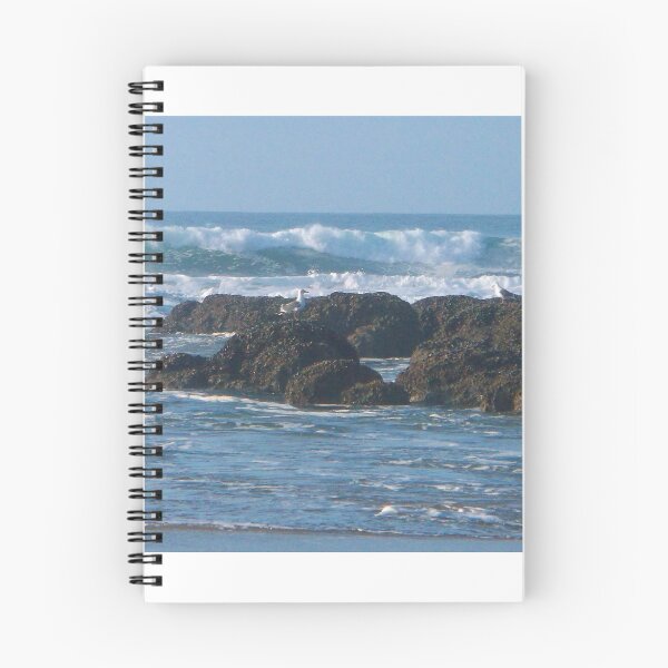 Item preview, 2 Gulls and the Ocean designed and sold by IrishEyesMrsZ.