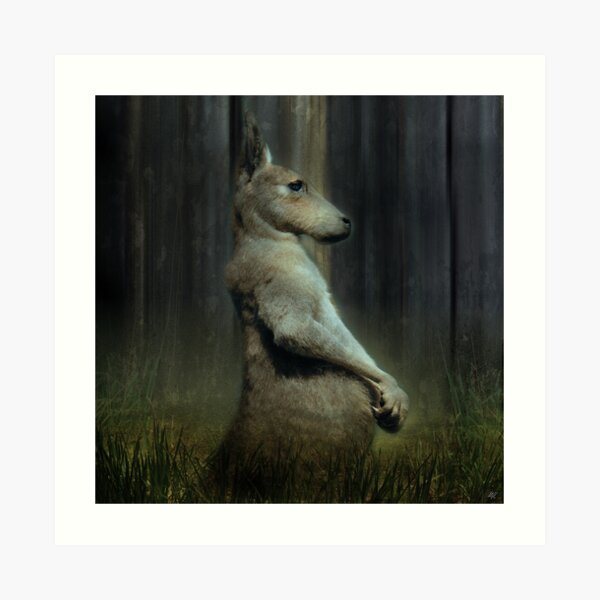 Portrait of a Kangaroo Art Print