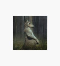 Portrait of a Kangaroo Art Board
