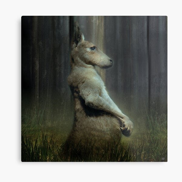 Portrait of a Kangaroo Metal Print