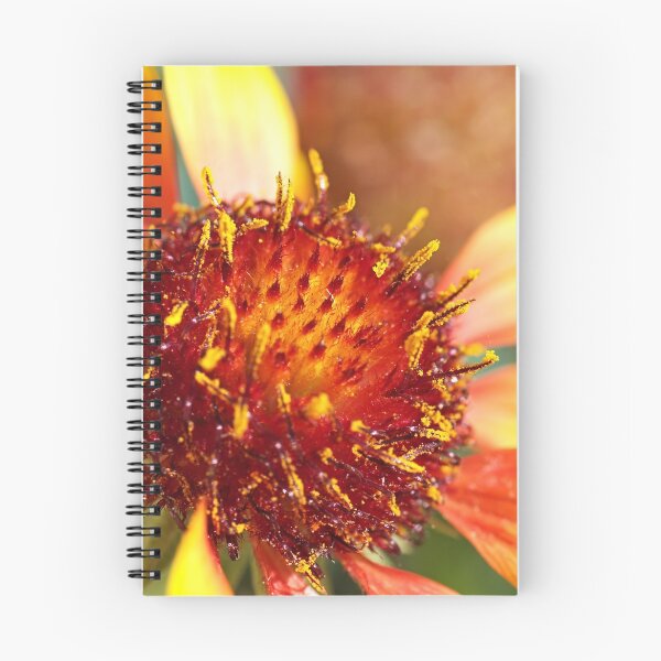 Item preview, Sunny Blanket Flower designed and sold by Joy Watson - Natural Light Photography .