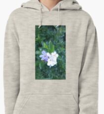 flower blossoms in nature Pullover Hoodie