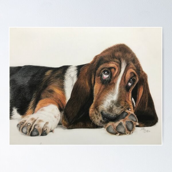 Item preview, Basset Hound | Dog designed and sold by NathBros.