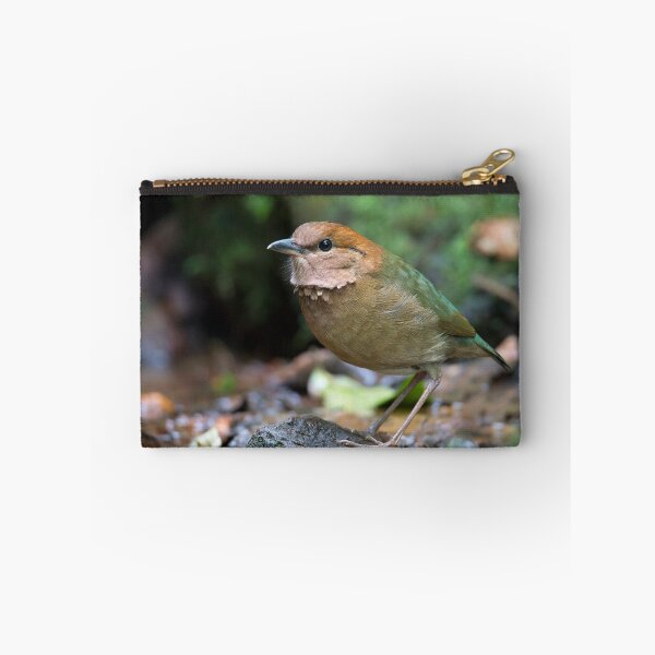 Item preview, Rusty-naped Pitta - Thailand designed and sold by Rob Drummond.