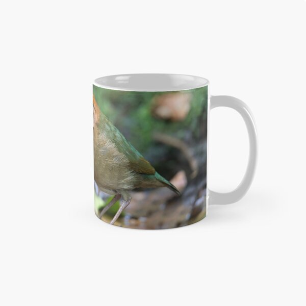 Item preview, Rusty-naped Pitta - Thailand designed and sold by Rob Drummond.