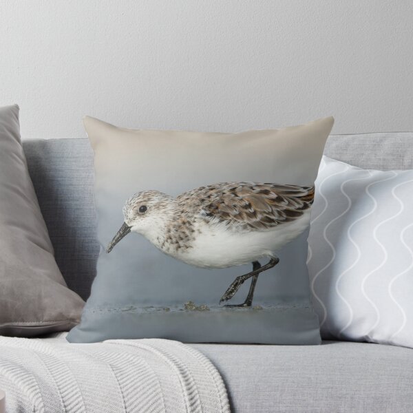 Item preview, Sanderling - Killarney designed and sold by Rob Drummond.