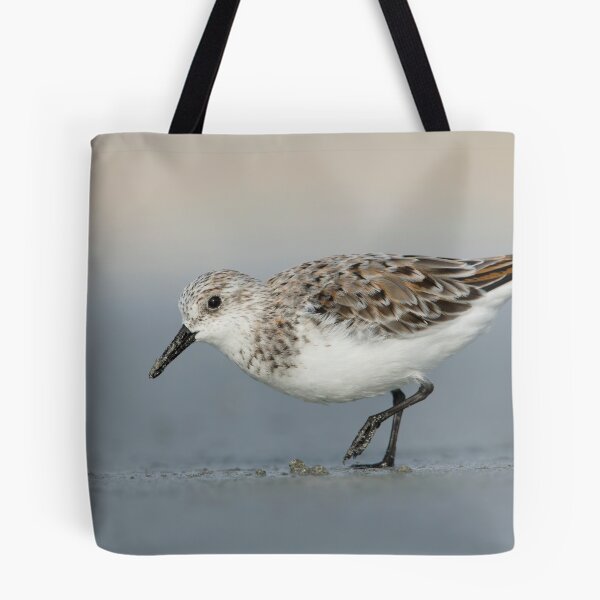 Item preview, Sanderling - Killarney designed and sold by Rob Drummond.