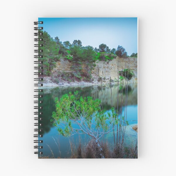 Item preview, Newly flooded reflections designed and sold by Ralph Goldsmith.