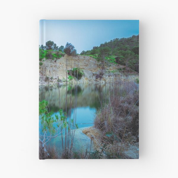 Item preview, Newly flooded reflections designed and sold by Ralph Goldsmith.