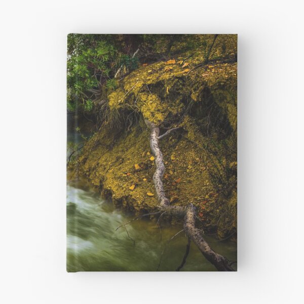 Item preview, Rushing In designed and sold by Ralph Goldsmith.