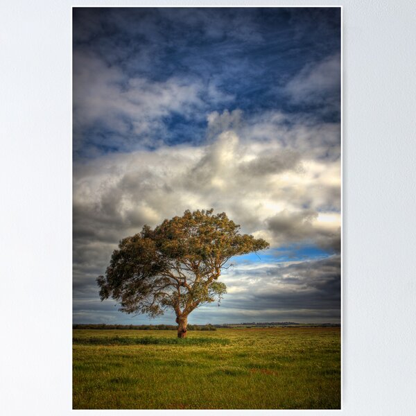 Item preview, Alone Again, Naturally designed and sold by johno60.