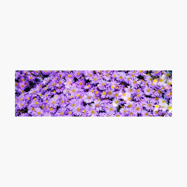 Item preview, Autumn flowers designed and sold by Deri Dority.