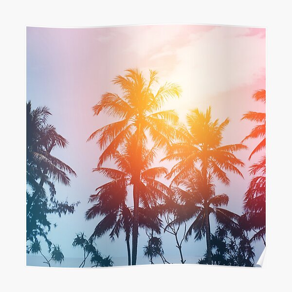 Beach sunset at the coast line Poster
