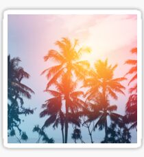 Beach sunset at the coast line Sticker