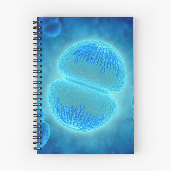 Item preview, Conceptual image of mitosis. designed and sold by StocktrekImages.