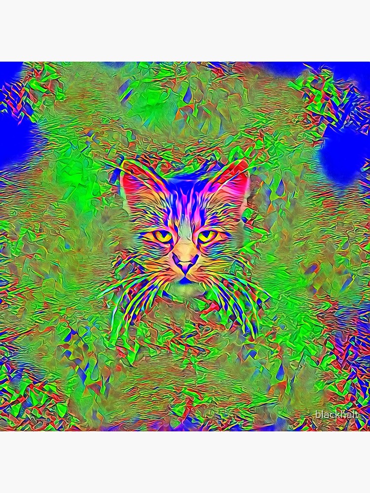 Polar aurora cat by blackhalt