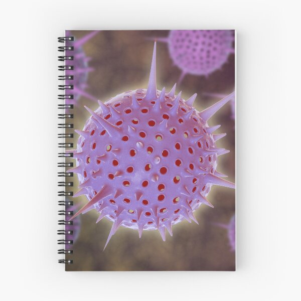 Item preview, Conceptual image of Radiolarians with a skeletal frame. designed and sold by StocktrekImages.