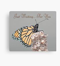 Waiting for you Canvas Print