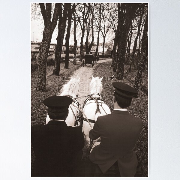 Item preview, r662/ silver time  " Open day at Haras de Saintes (17) France 1981 - Journée porte Ouverte au Haras de Saintes  " Okaio Créations Olavia-Olao designed and sold by o.okaïo.