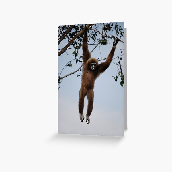 Gibbon Greeting Card