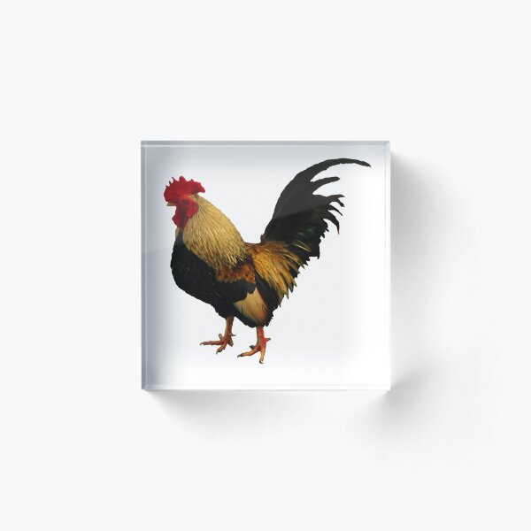 Temple Rooster ~ Acrylic Block