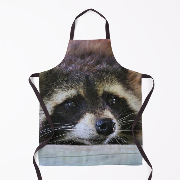 Item preview, Resting Raccoon designed and sold by Fearless-Fox.