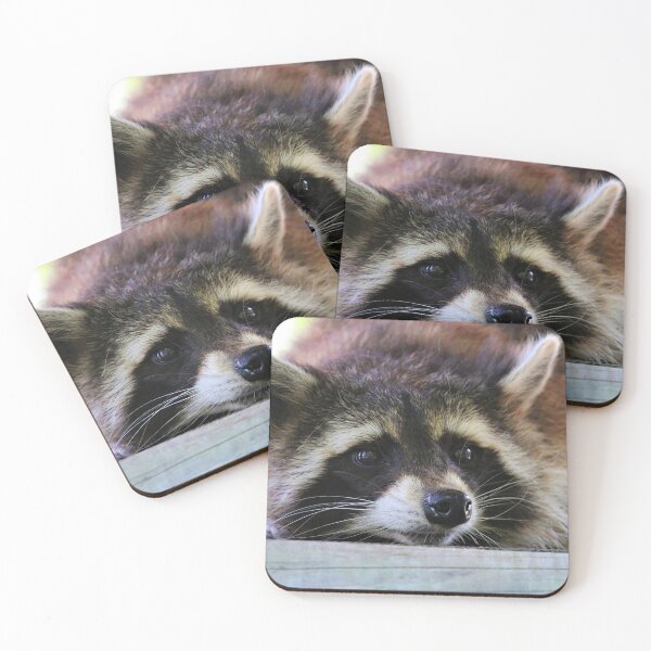 Item preview, Resting Raccoon designed and sold by Fearless-Fox.