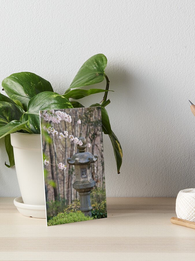 Conjunto De 2 Macetas De Mezcla De Piedra Gris ⌀ 31 Cm ABDERA